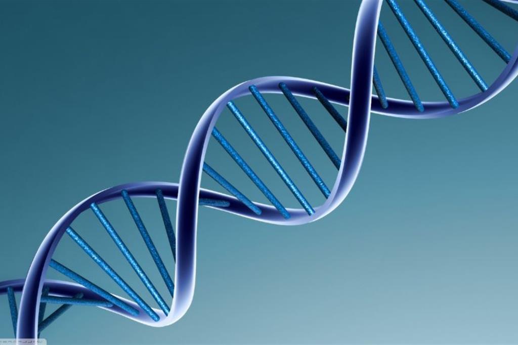 Editing genetico sull’uomo? Quanti problemi se si manipola il Dna