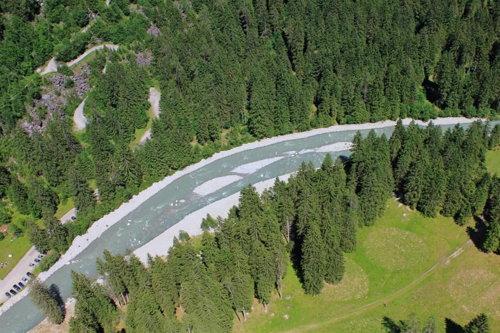 Il Sarca in bassa valle, formato da acqua di Adamello e Presanella. Circa un chilometro oltre, si unisce al ramo di Campiglio (acque delle Dolomiti di Brenta), che a sua volta raccoglie altri scioglimenti della Presanella (ma stavolta lungo la val Nambrone). - 