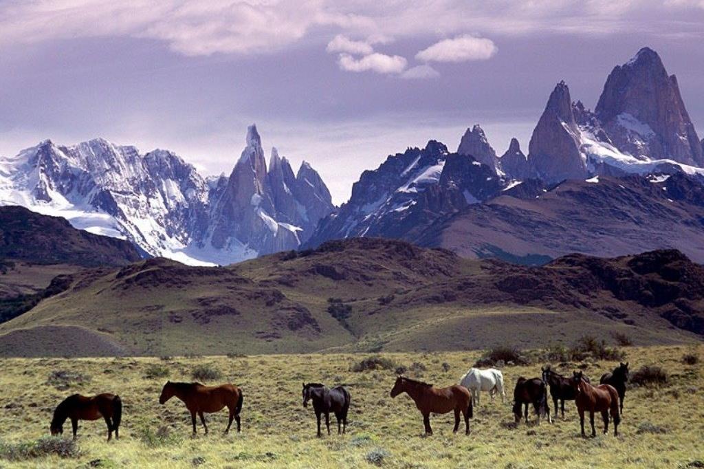 Regala migliaia di ettari di terra per creare un parco naturale in Patagonia
