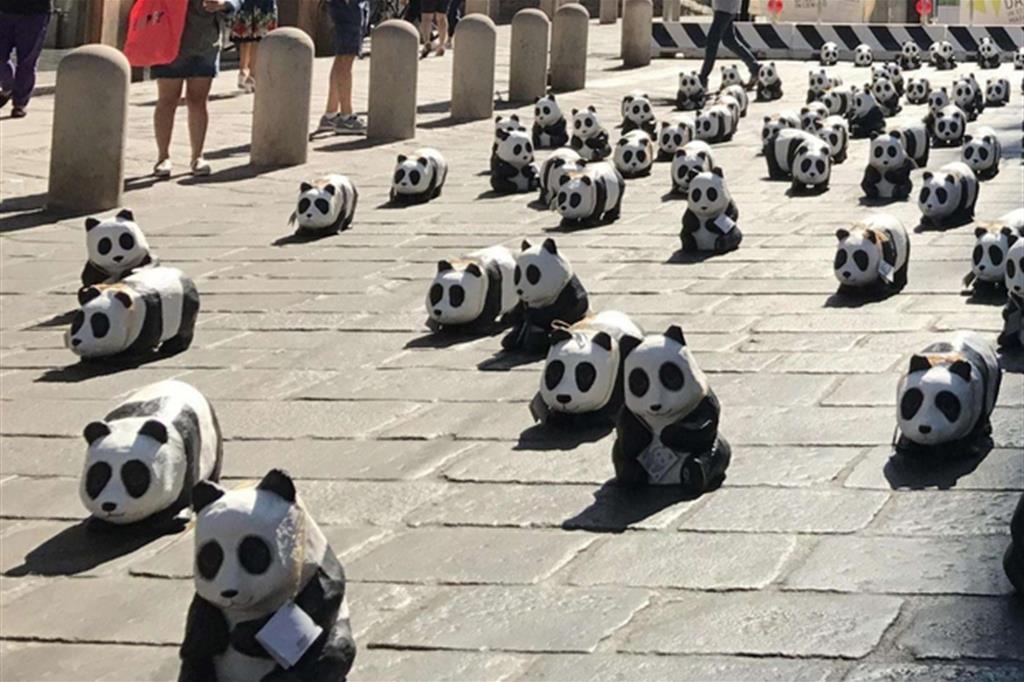 I panda di cartapesta del Wwf con cui l'associazione ha occupato ieri mattina uno dei luoghi simbolo di Bologna, via Rizzoli, vicino alle Due Torri, in occasione dell'apertura dei lavori del G7 Ambiente