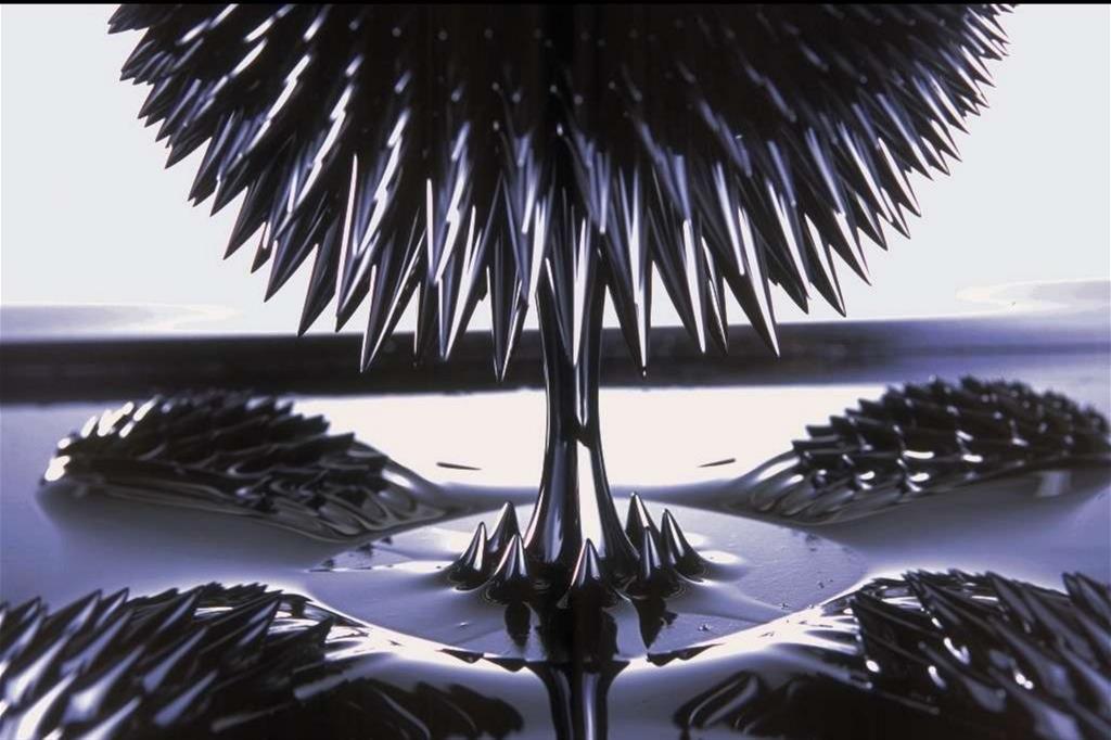 Sachiko Kodama, Protude Flow, 2008. Magnetic Ferrofluid, Computer, Microphone, Videocamera - 