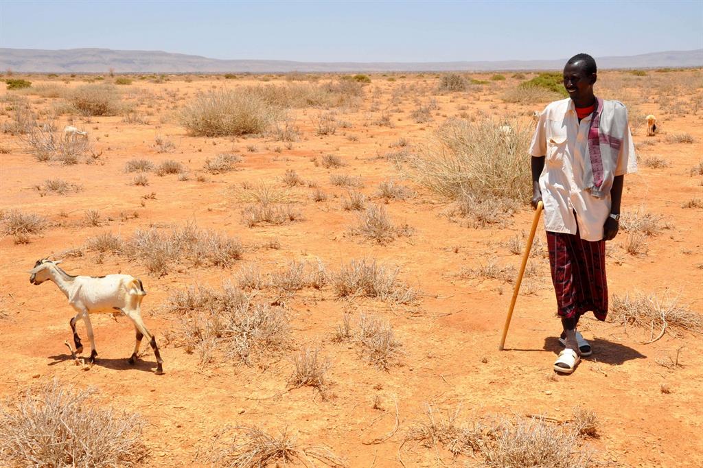 Un uomo e la sua capra vittime della siccità in Somalia (Oxfam via Flickr https://flic.kr/p/9LRiYN)