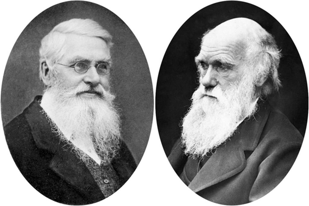Alfred Wallace e Charles Darwin