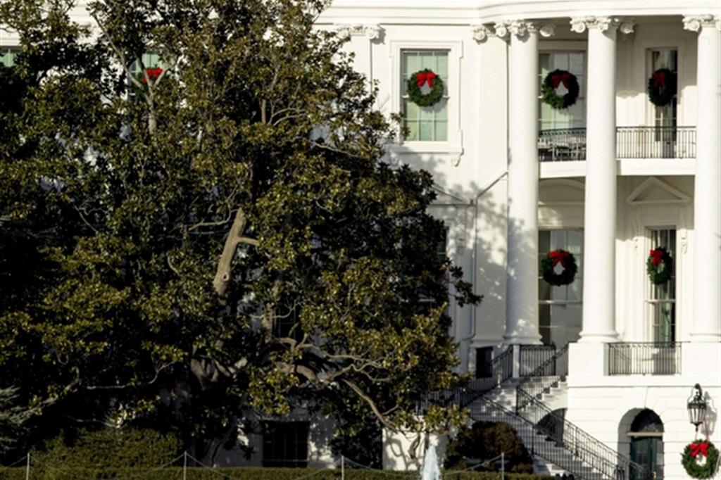 La magnolia storica copre parte della facciata sud della Casa Bianca, Ansa