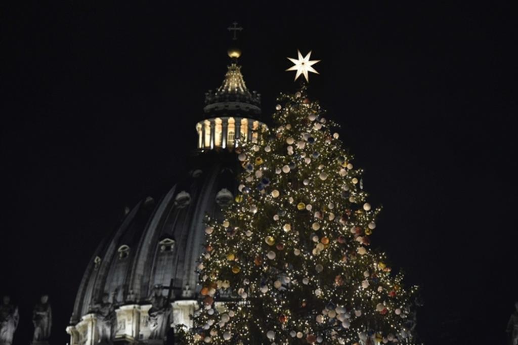 L'albero di Natale in piazza San Pietro (Siciliani)