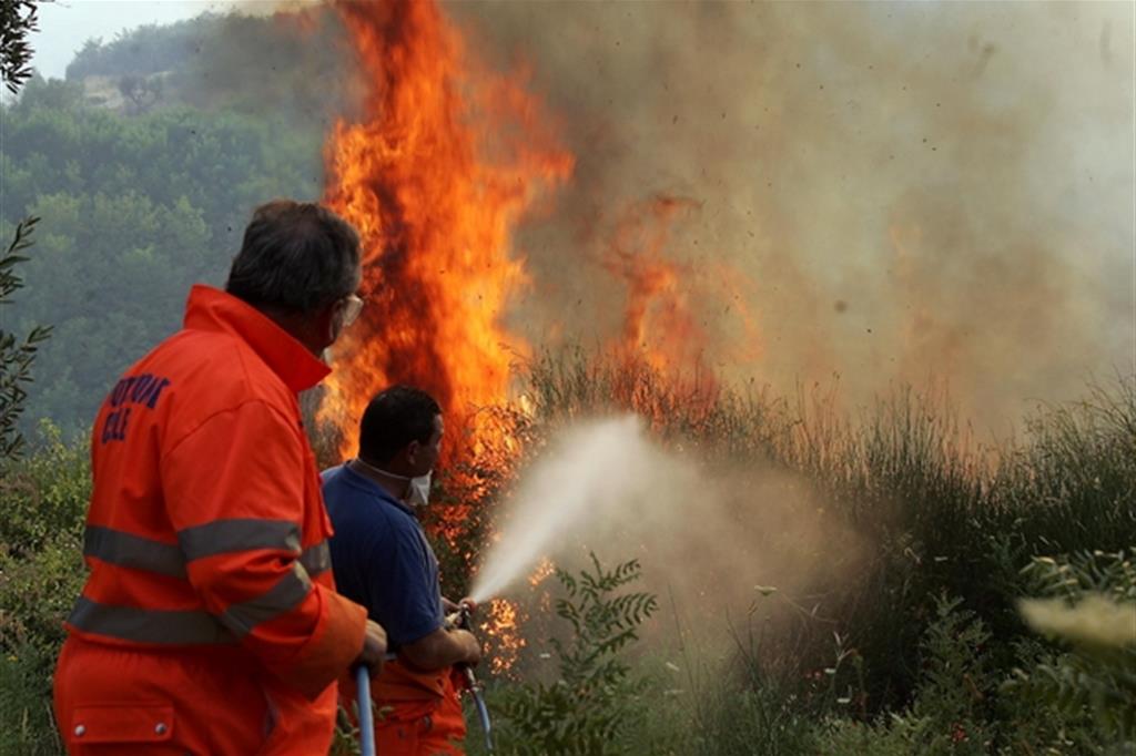 La Sila brucia, ipotesi roghi dolosi: sospetti su aziende forestali