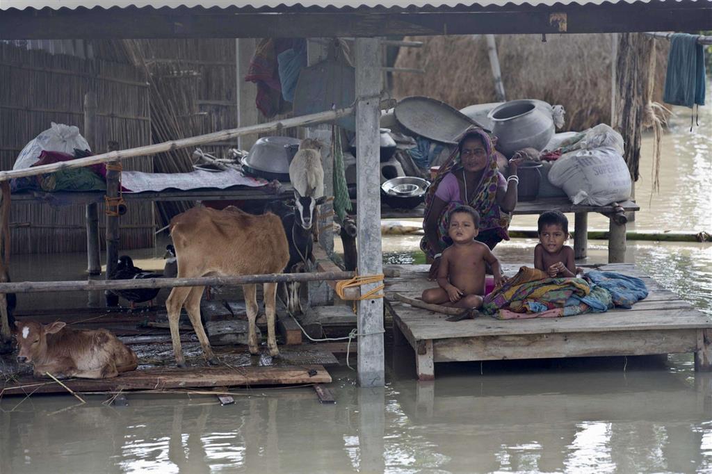Monsone devasta Nepal, Bangladesh e India, almeno 250 morti