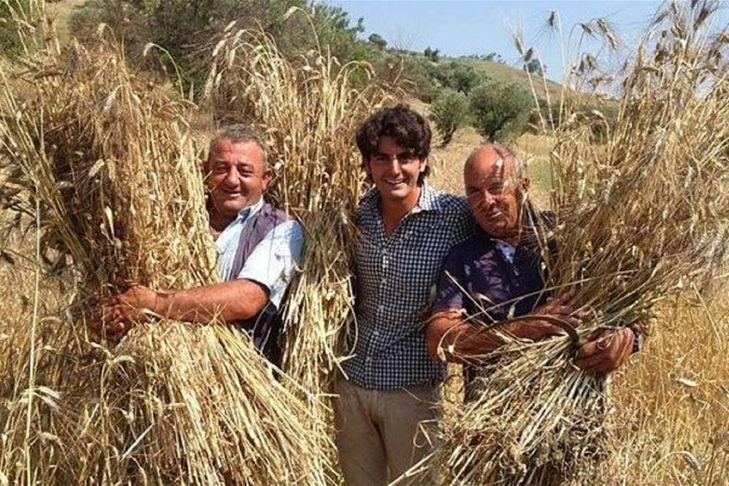 Stefano Caccavari con due agricoltori nei campi di grano calabresi