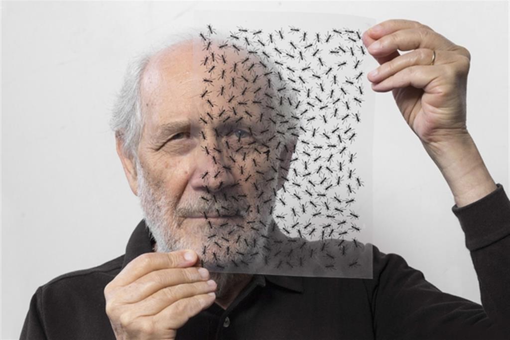 Emilio Isgrò si nasconde dietro le formiche, che sono uno dei temi ricorrenti nelle sue opere degli ultimi anni (Lorenzo Palmieri)