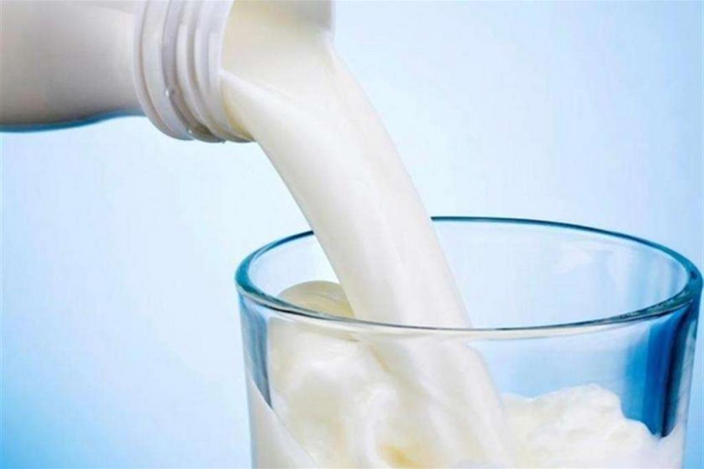 Latte e latticini fanno male? La scienza dice il contrario