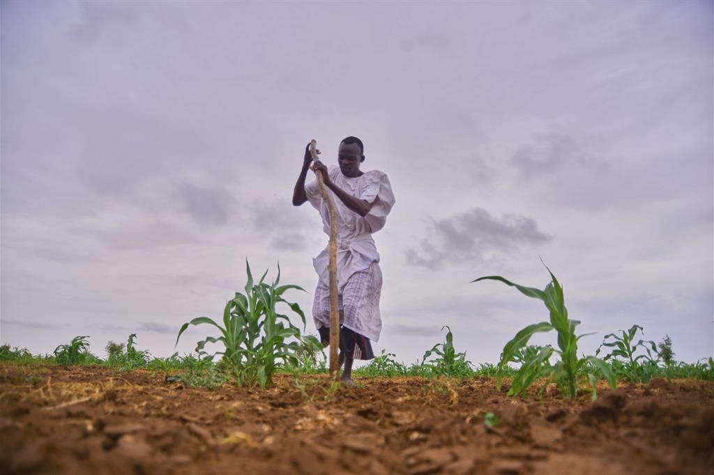 Sudan, Buker al lavoro nei campi con gli attrezzi ricevuti (Sari Awadi)