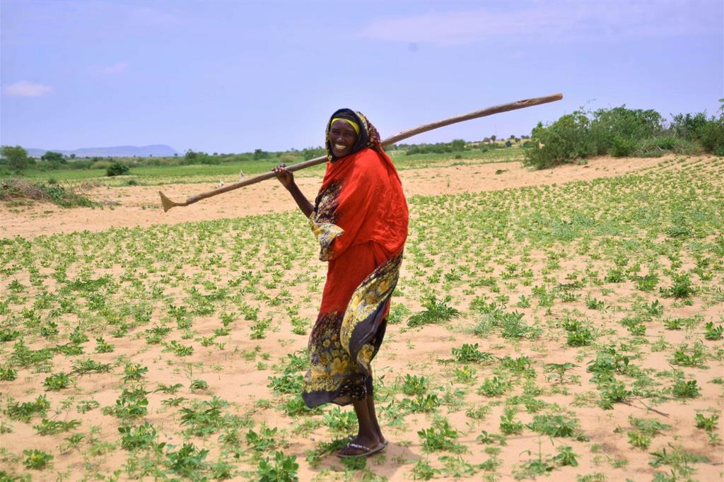 Sudan, anche Hawa lavora nel campo (Sari Awad) - 