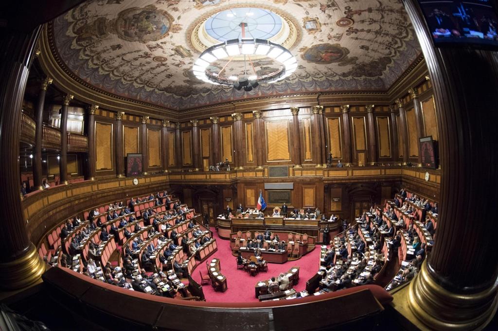 L'interno del Senato (Ansa)