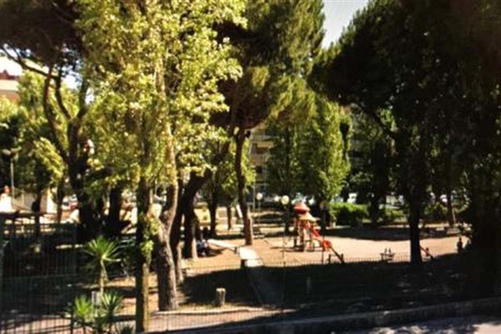 Il parco di Ostia dove è avvenuta l'aggressione