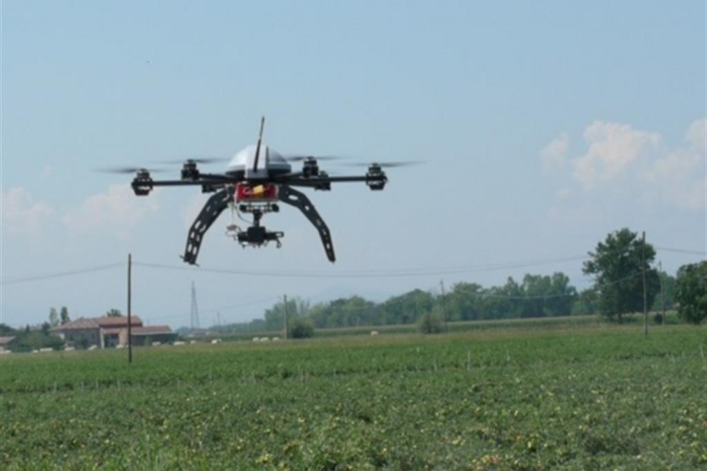 Un drone impiegato nei campi