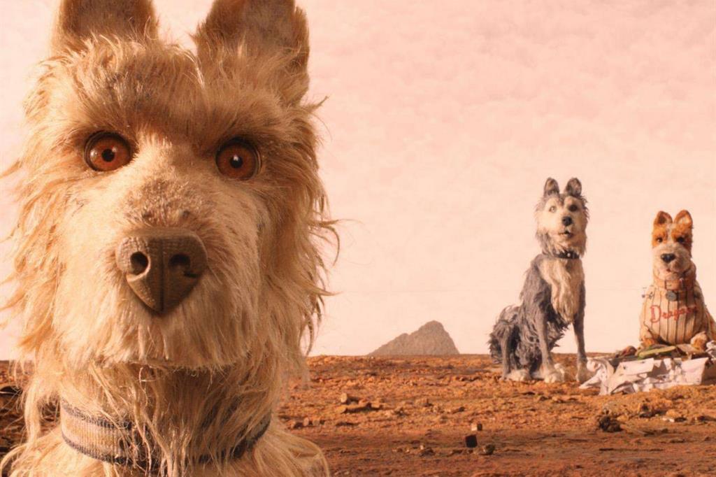 Una scena di "L'isola dei cani", film d’animazione di Wes Anderson che ha aperto il 68° Festival dei Berlino e che uscirà nelle sale italiane a maggio (Ansa)