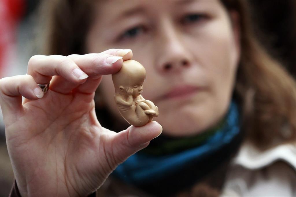La riproduzione, in dimensioni reali, di un embrione di 12 settimane (Reuters)