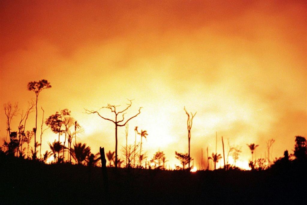 Foresta amazzonica in fiamme (dall'archivio Ansa)