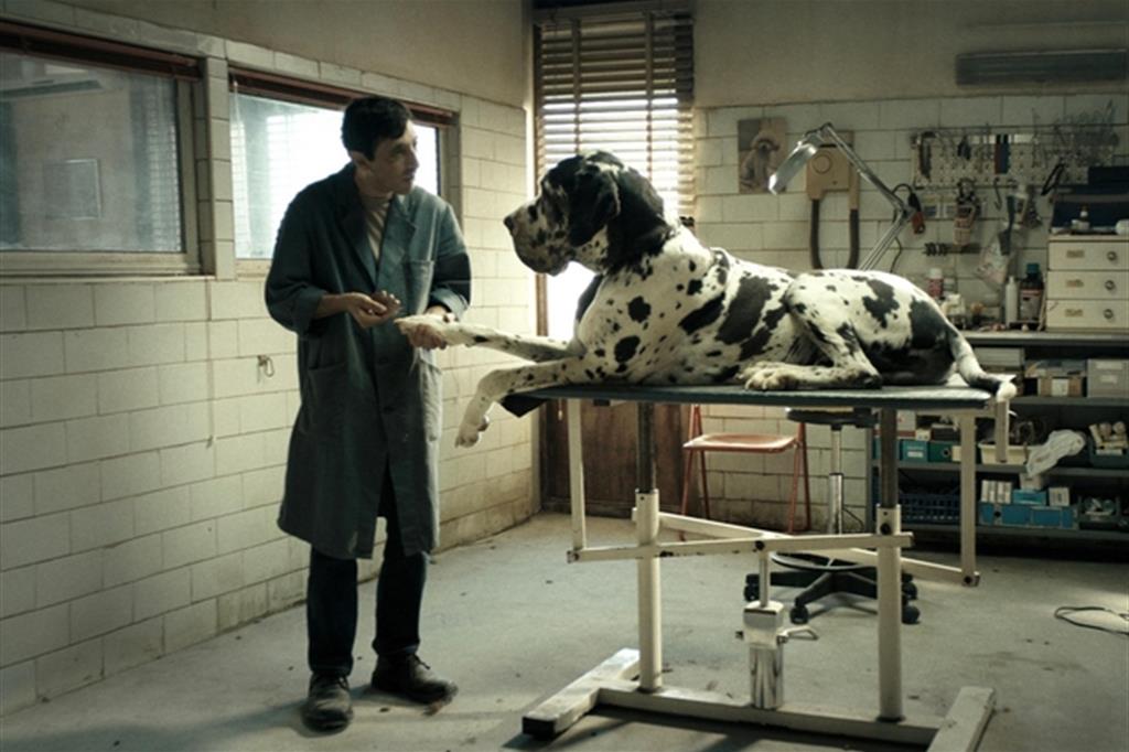 Una scena del film Dogman, di Matteo Garrone, con Marcello Fonte. Già in gara a Cannes
