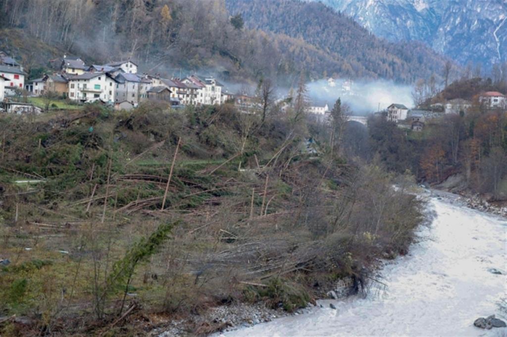 Alberi abbatuti dal maltempo ad Alleghe, in provincia di Belluno