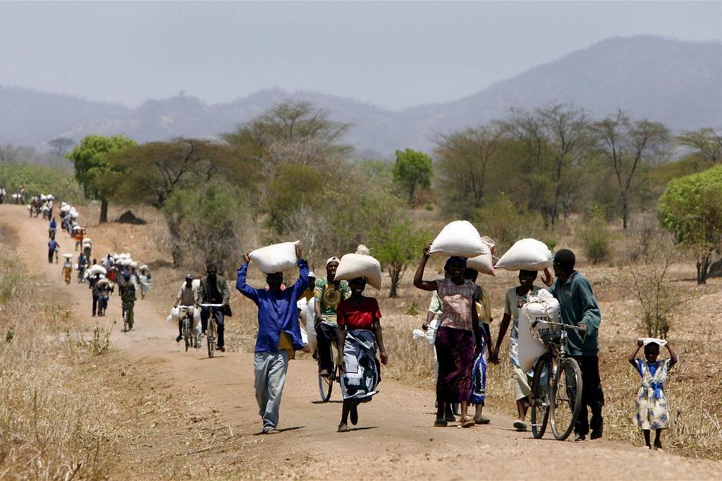Aiuti alimentari internazionali in Malawi (Ansa)