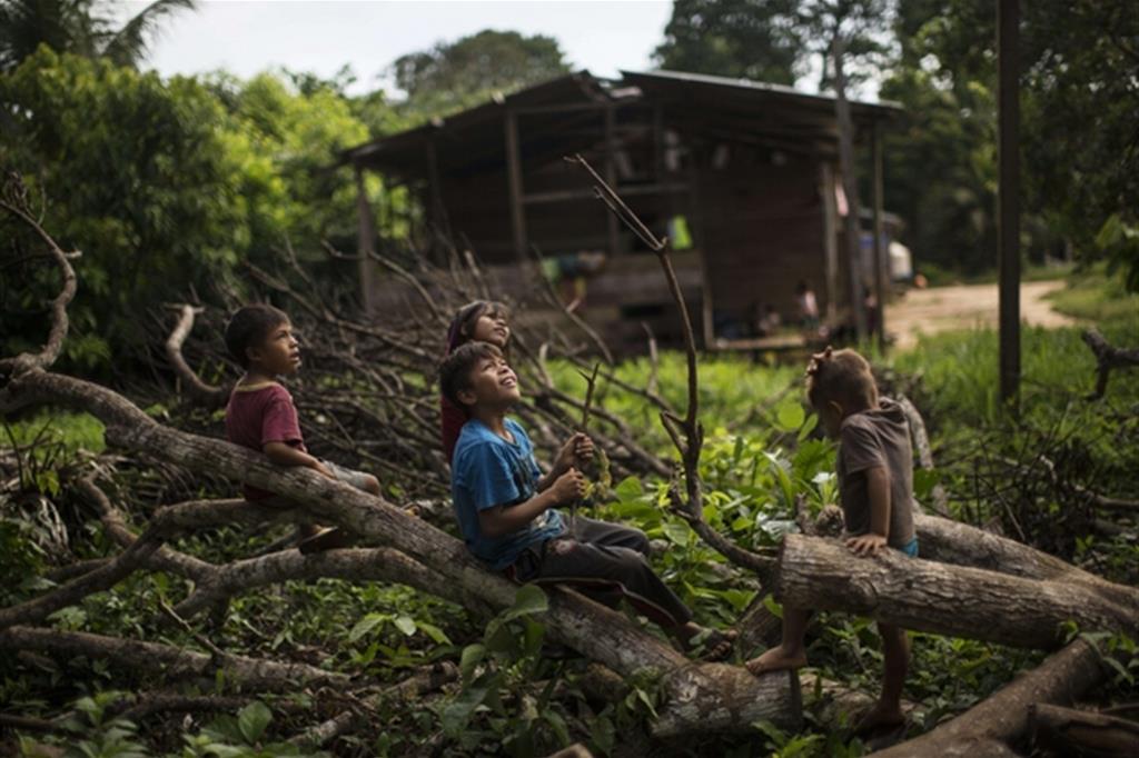 La difesa dell'Amazzonia? Per i cristiani è un dovere