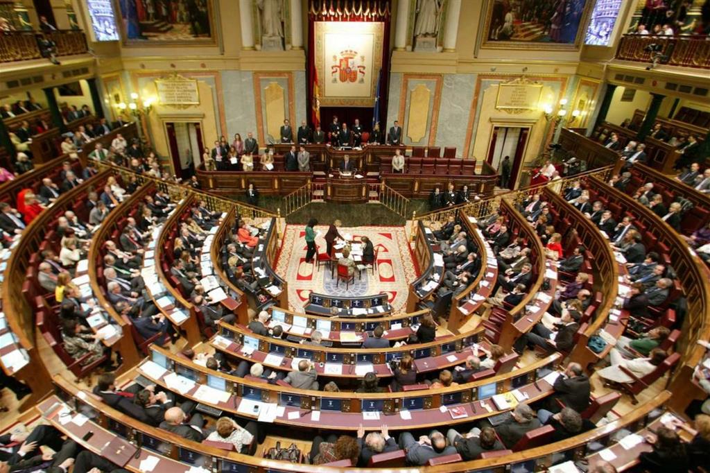Il parlamento di Madrid (Ansa)