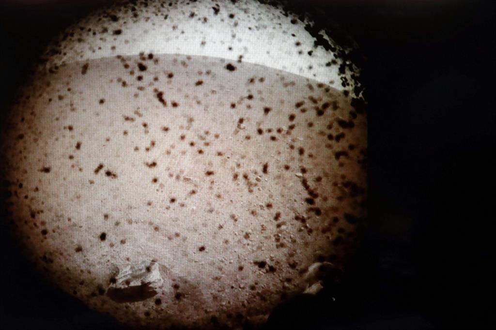Una delle prime immagini di Marte inviate dalla sonda InSight (Ansa)