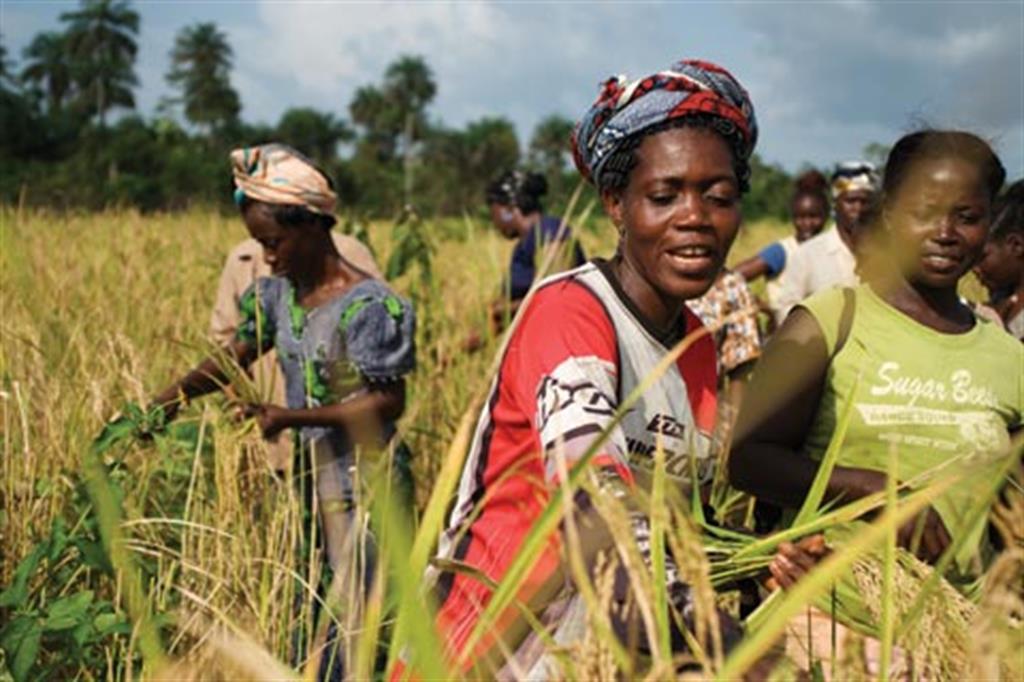 L'Italia in aiuto dell'Africa: formerà giovani agricoltori
