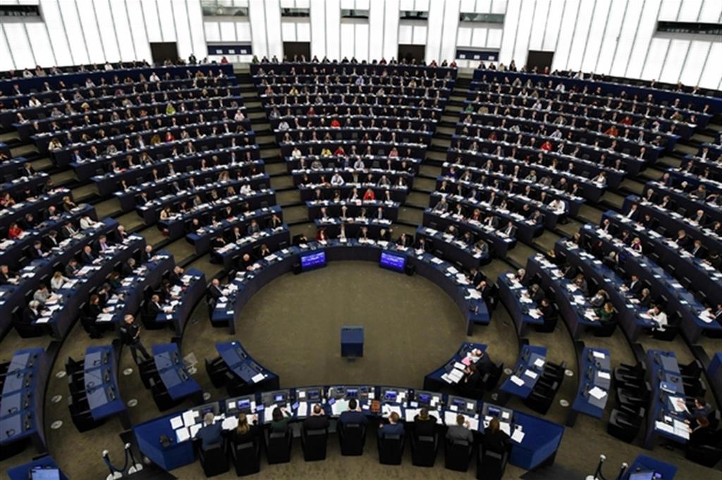76 italiani all'Europarlamento: ecco chi sono gli eletti