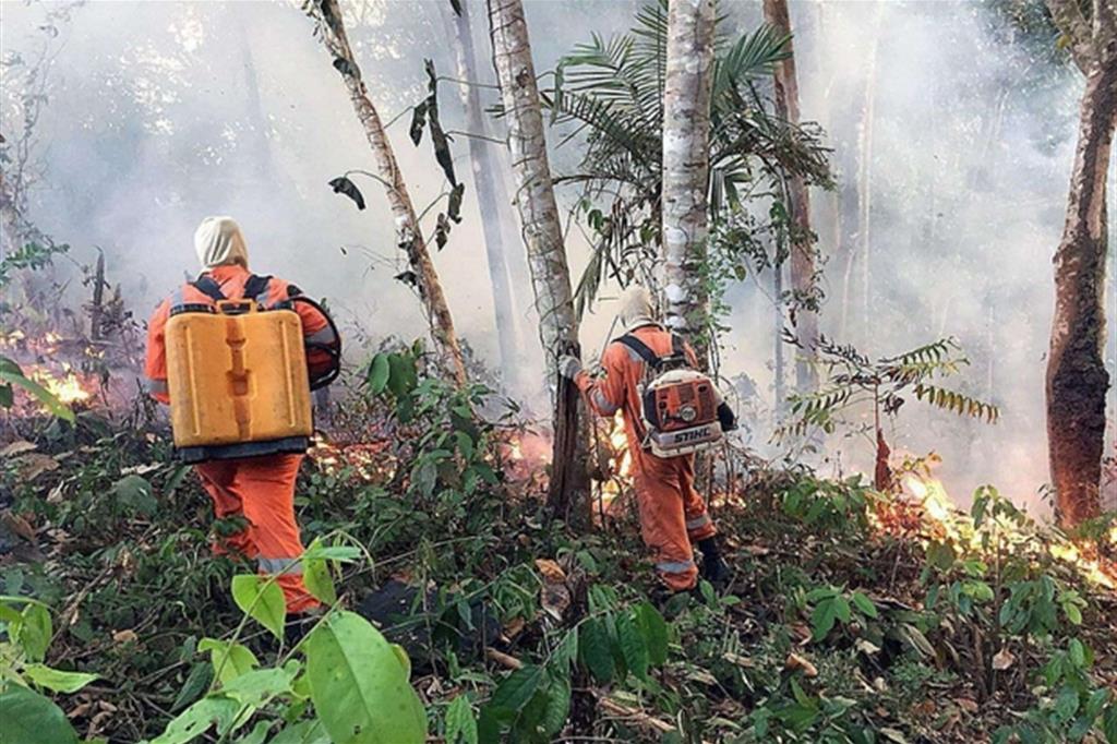 Pompieri di Porto Velho al lavoro nelle fopreste amazzoniche del Rondonia in Brasile (Ansa)