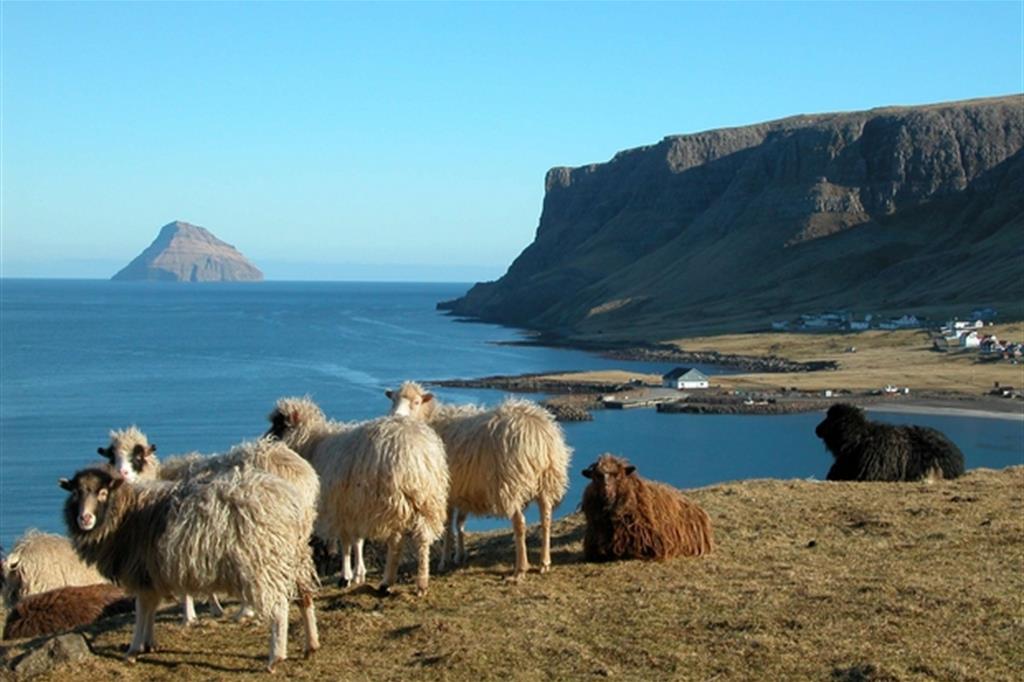 L'arcipelago delle Faroe chiude per lavori: stop ai turisti