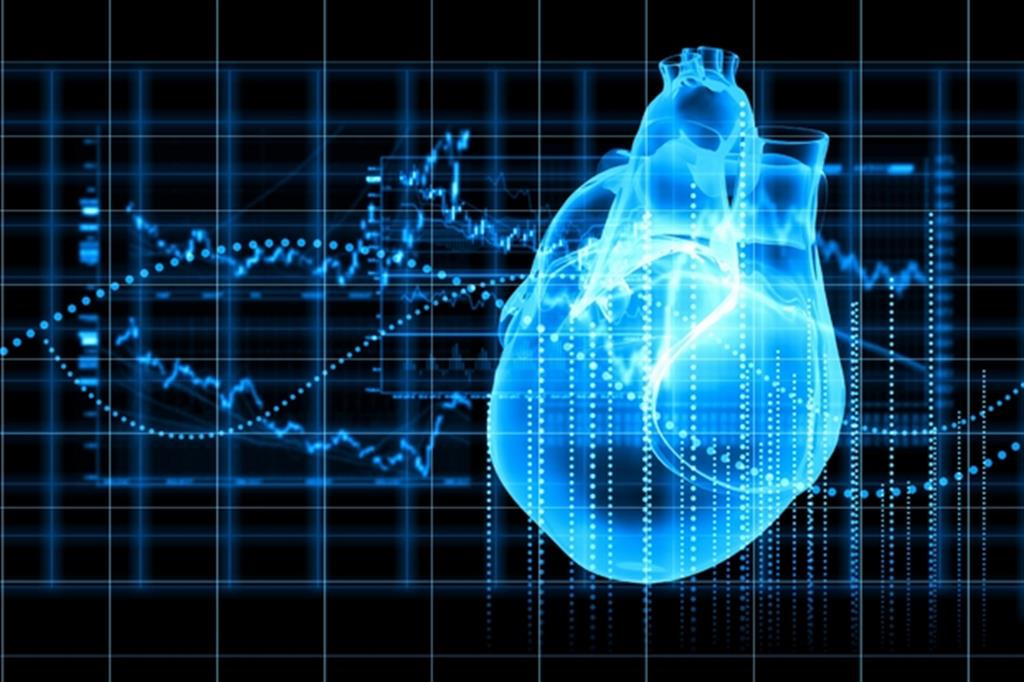 Ecco il modello algoritmico del cuore umano