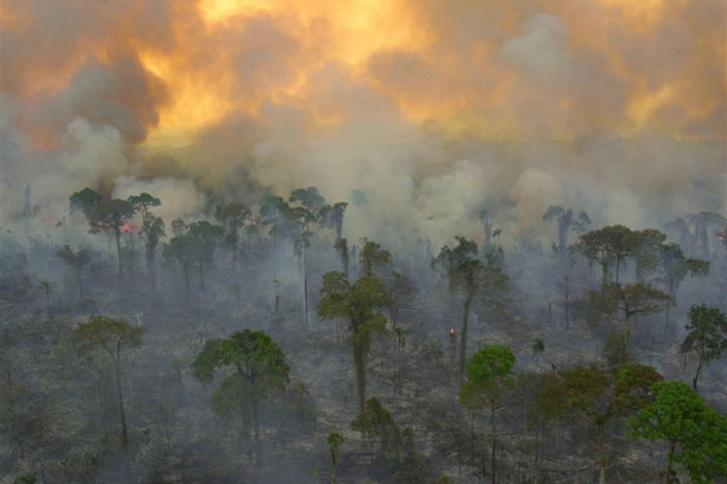 Bolsonaro si prende l'Amazzonia: «Non è patrimonio dell'umanità»