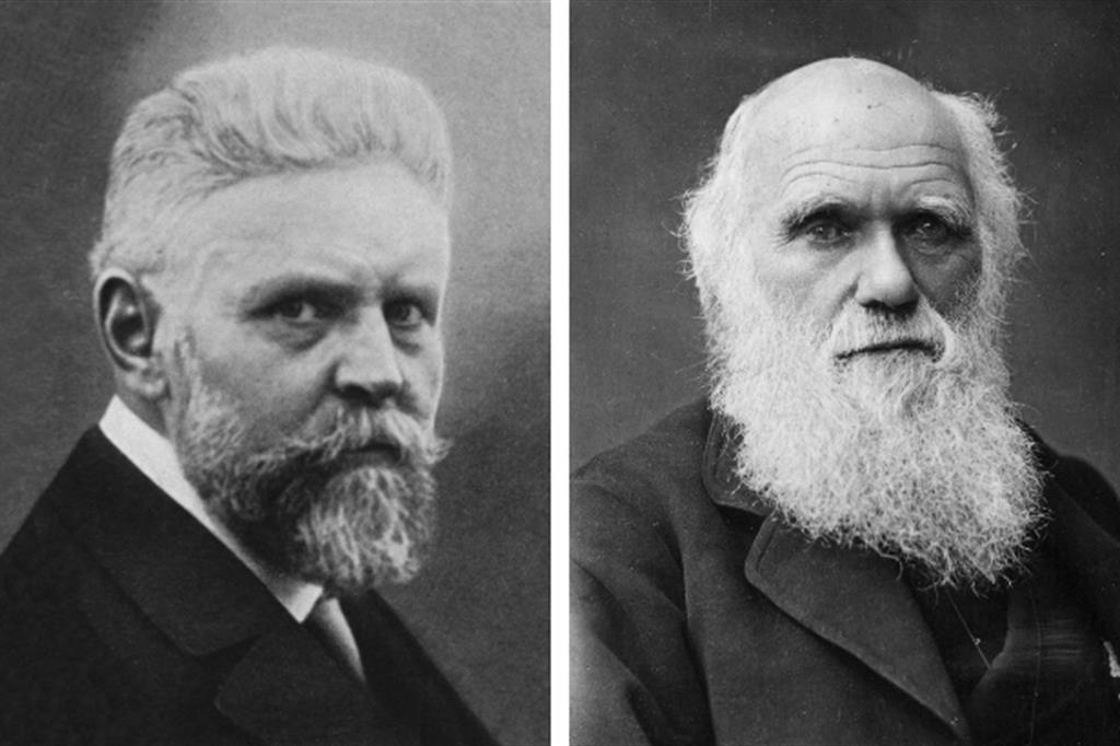 Alfred Ploetz, il medico del progetto eugenetico nazista - Charles Darwin, naturalista: teorizzò l’evoluzione della specie