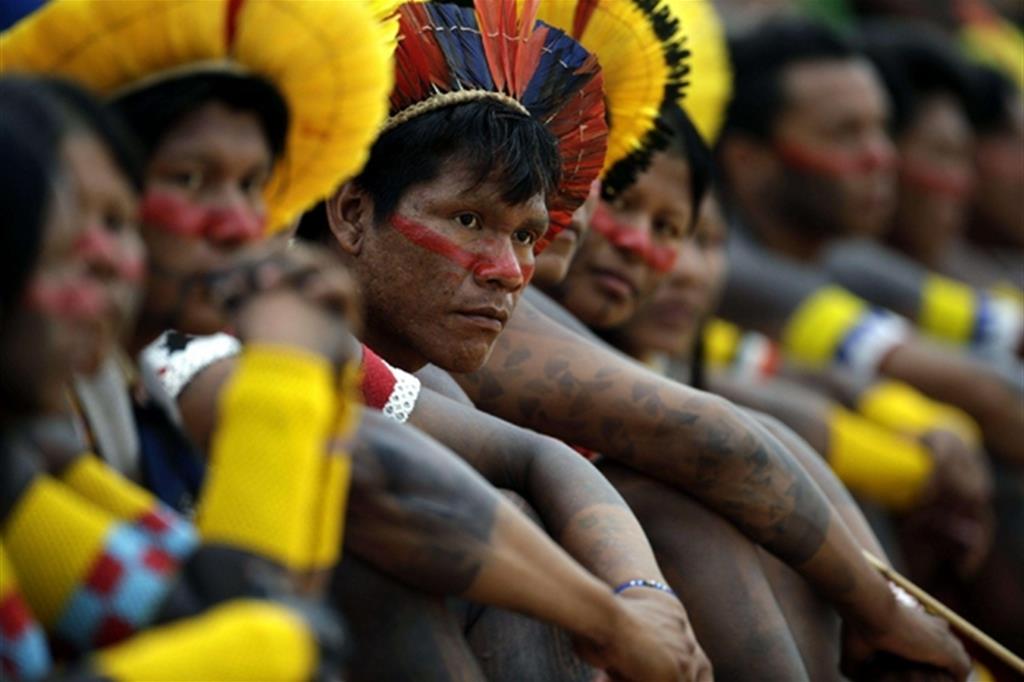 Indigeni in Amazonas, Ansa