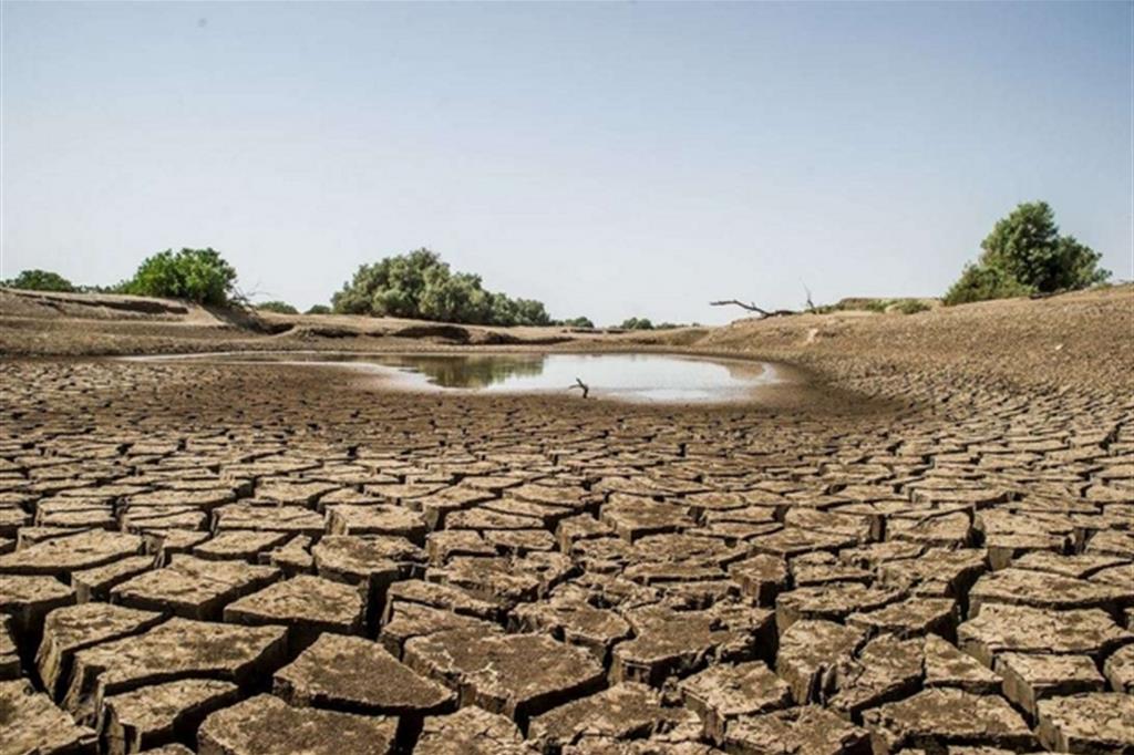 Un'immagine della siccità in Afar (Lvia-Migliaro)