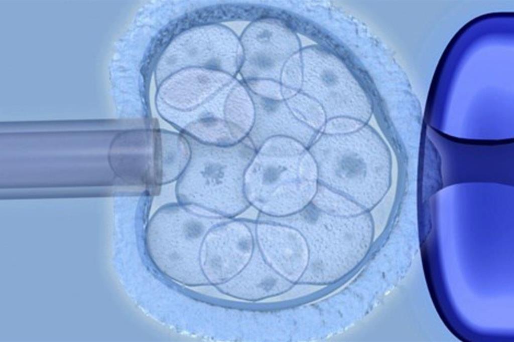 Cellule embrionali sul chip? Il problema etico resta