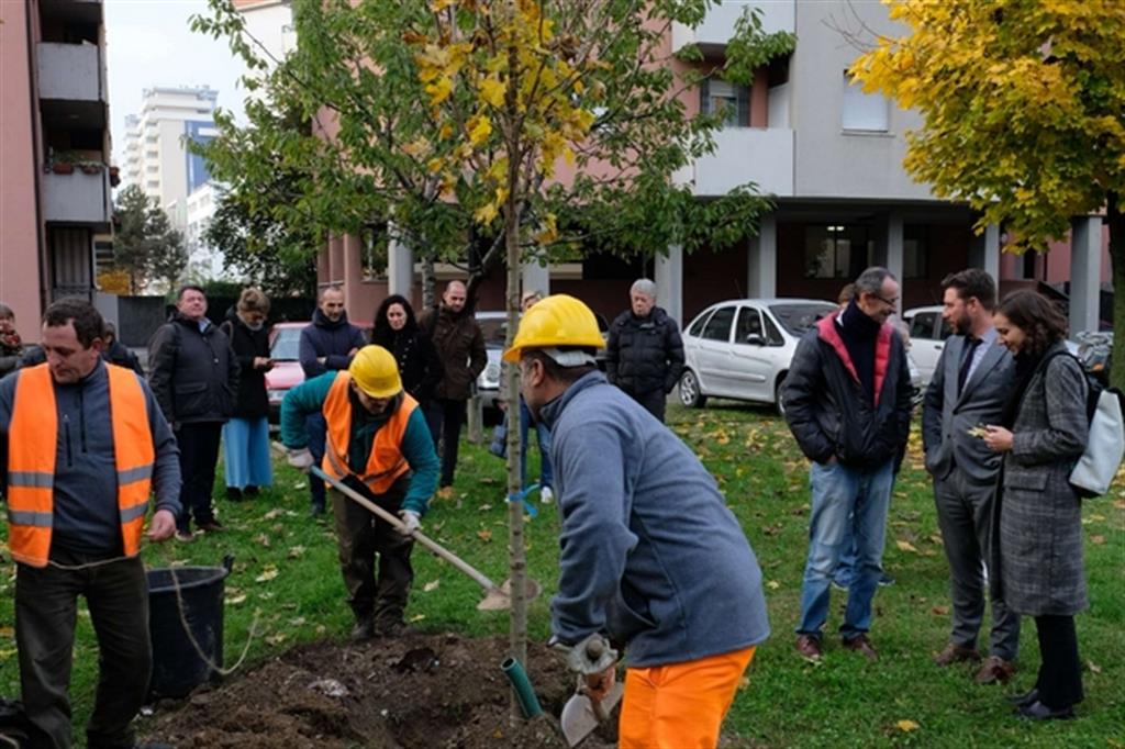 Piantumazione nel cortile di un palazzo di edilizia pubblica a Milano. Il Comune intende piantare mille nuovi alberi in una settimana (Fotogramma)