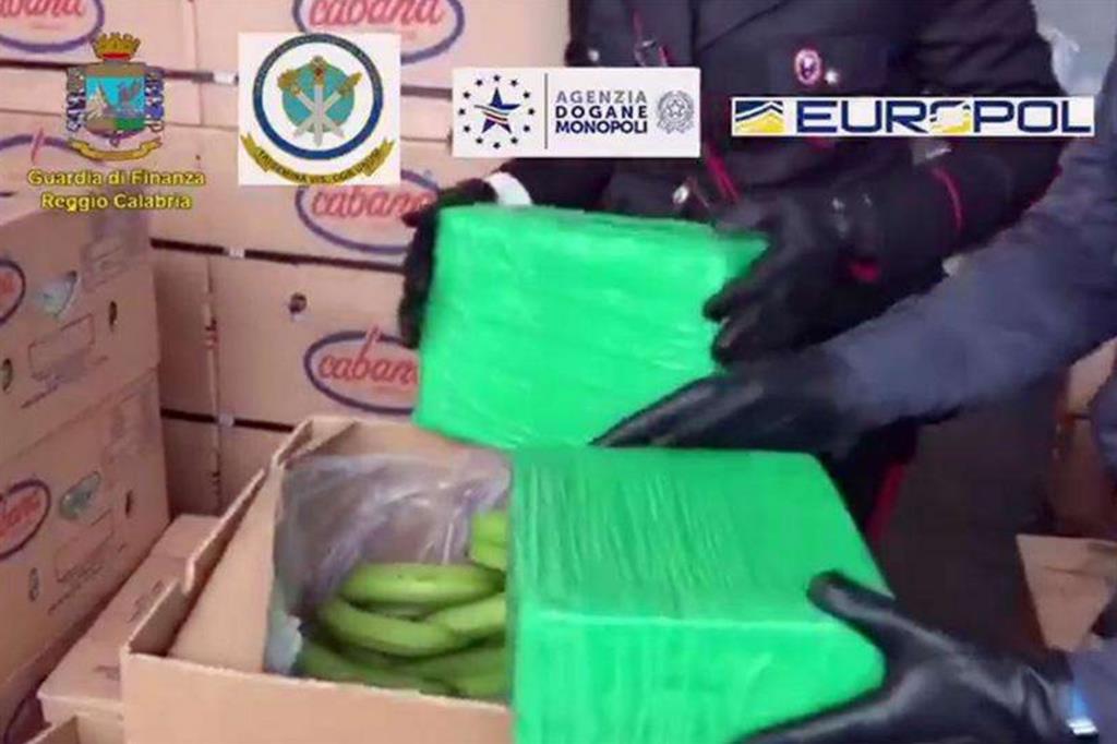 I "pacchi" di cocaina tra i caschi di banane scoperti dai carabinieri