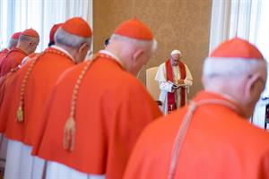 Nuovi cardinali all'insegna di missionarietà, dialogo e ambiente
