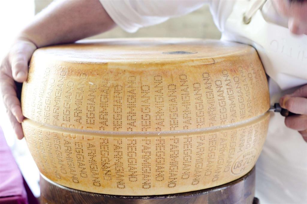 Il taglio di una forma di Parmigiano Reggiano (foto Ansa)