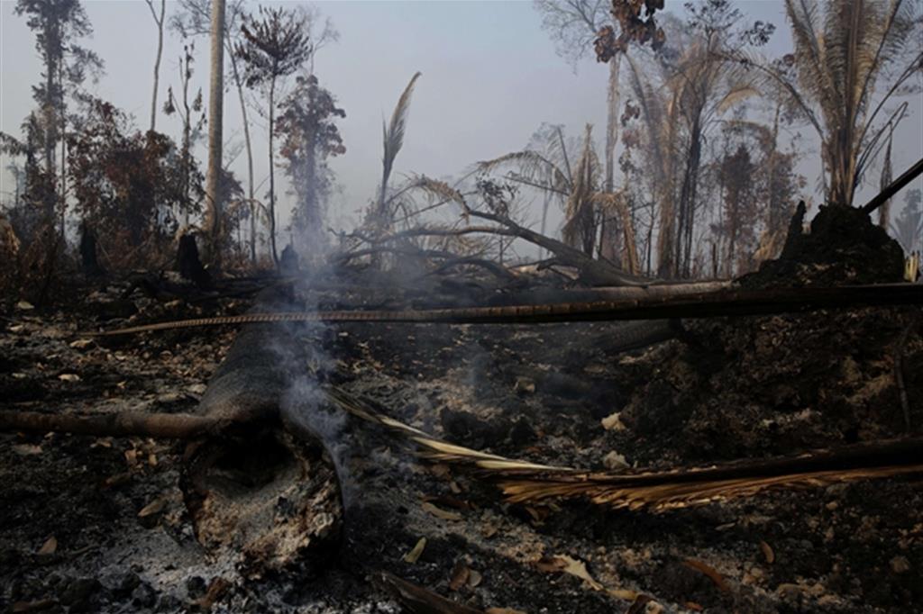 La foresta brucia ancora e il Brasile rifiuta gli aiuti del G7