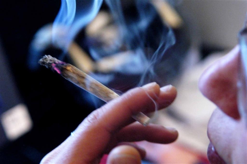 Cannabis, il fronte del no: «Si tenta di legalizzarla»