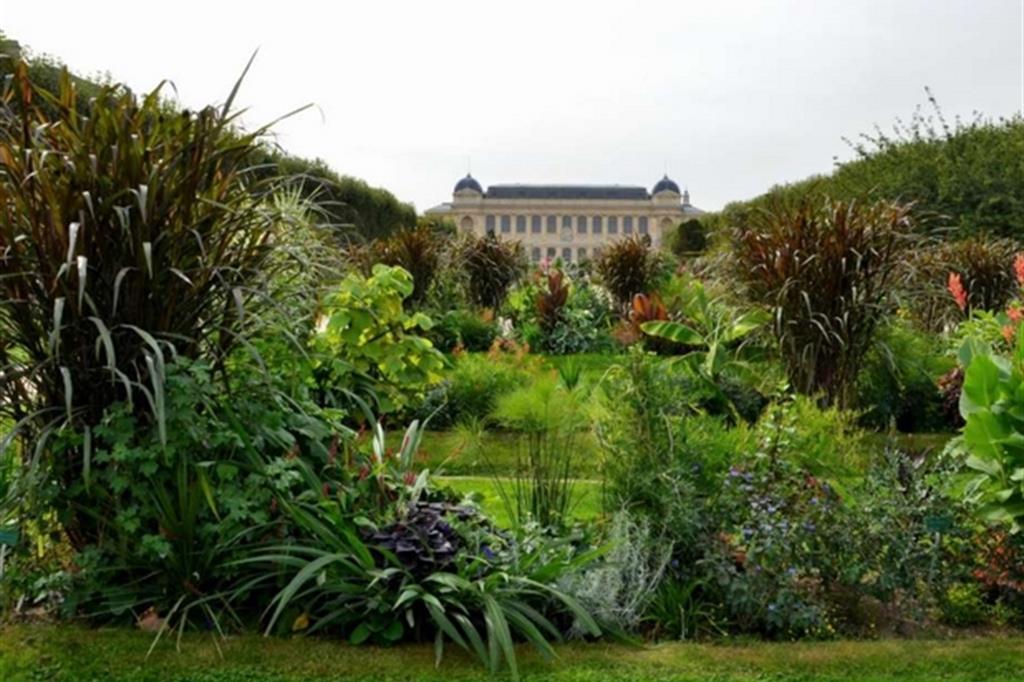 Il Jardin des Plantes di Parigi