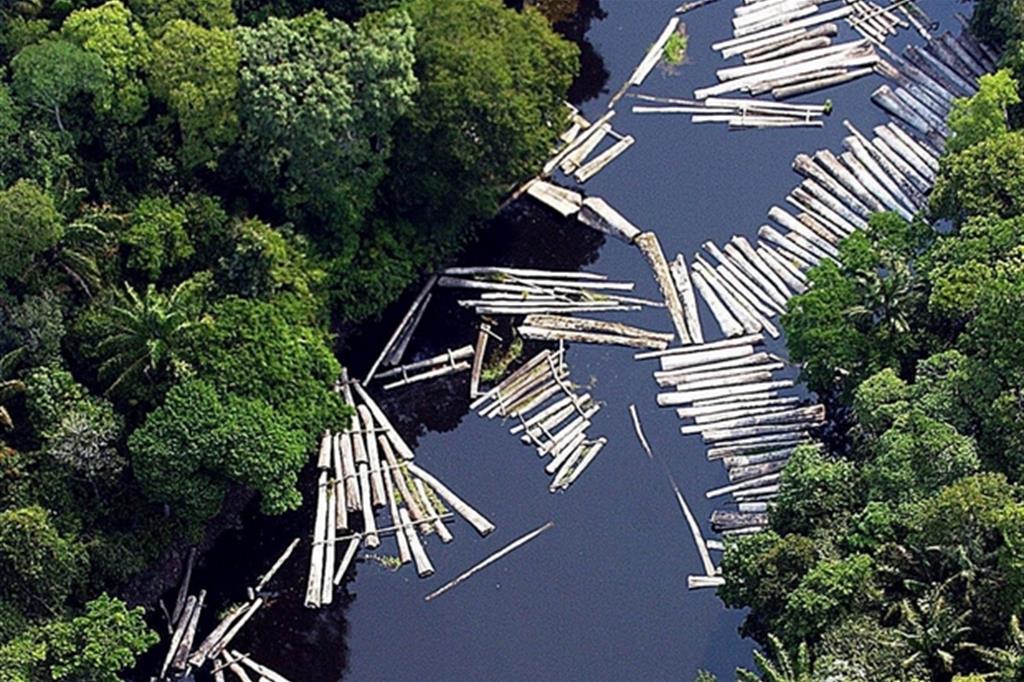 Un'immagine simbolo della deforestazione in Amazzonia (archivio Ap)