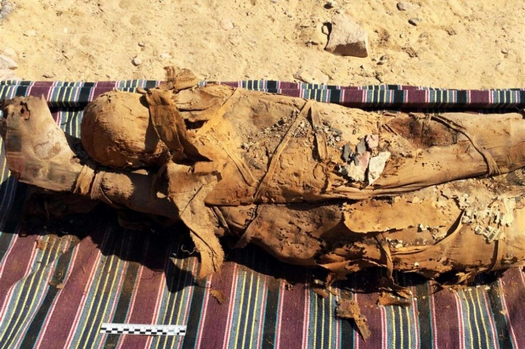 Due mummie sovrapposte, probabilmente di una madre e del figlio - 