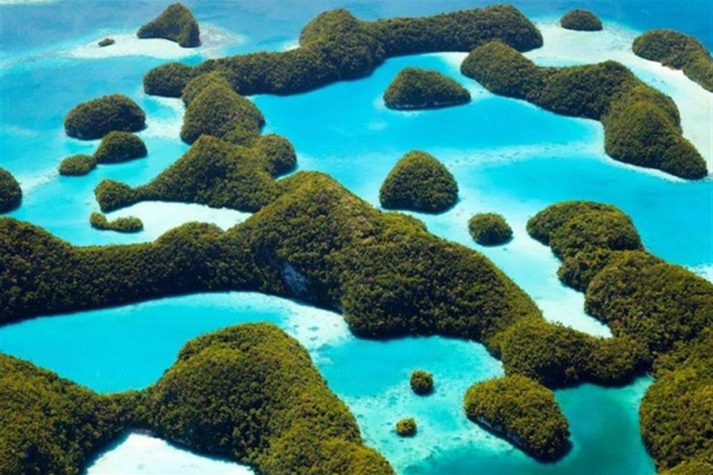 Stop a Palau alle creme solari: danneggiano i coralli