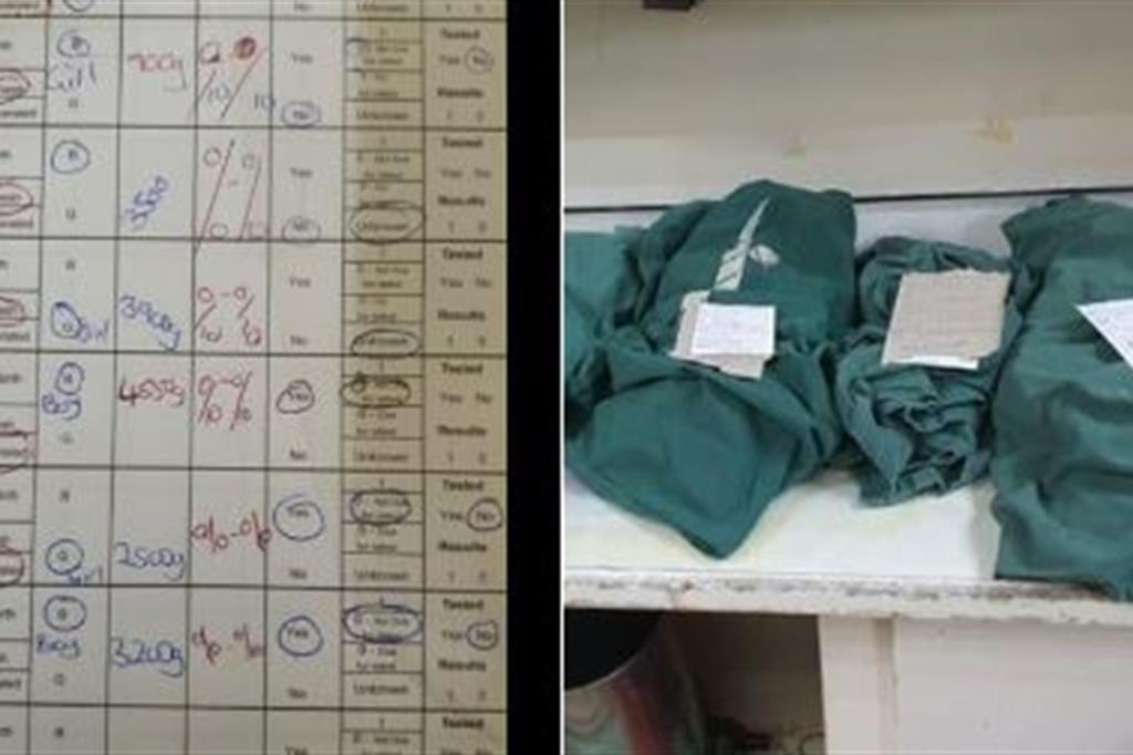 La foto postata dal medico dell'ospedale di Harare: nei fagottini verdi i corpi dei neonati morti e a sinistra i report sanitari