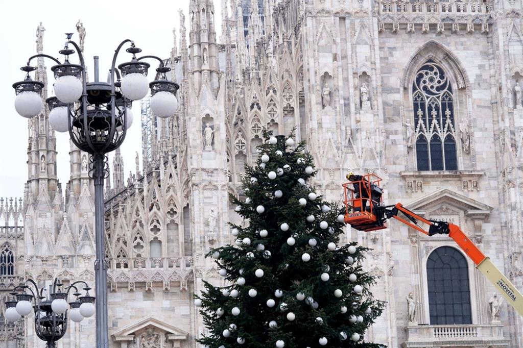 La preparazione dell'albero di Natale in piazza Duomo a Milano